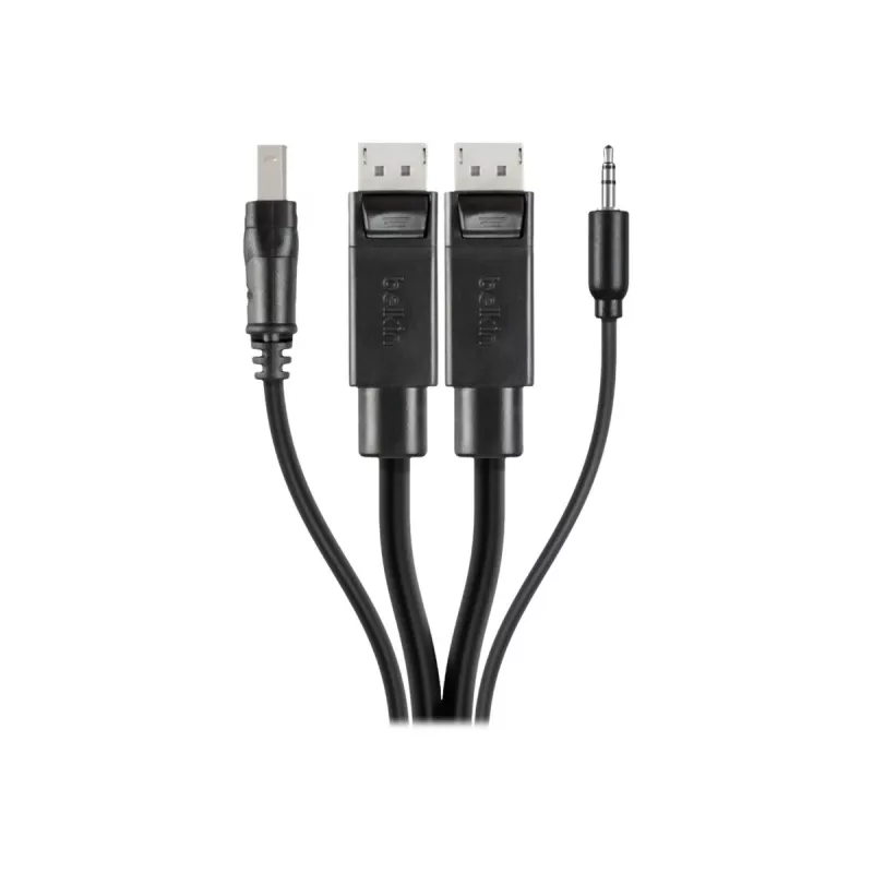 Cable combo KVM seguro Belkin - cable de teclado / vídeo / ratón / audio - USB, conector mini, DisplayPort (M) a conector jack mini estéreo, USB Type-