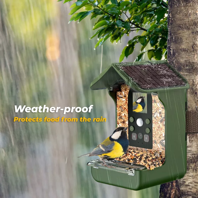 EASYPIX Bird Camera Easypix Bird Cam 10123 1080p HD visión nocturna