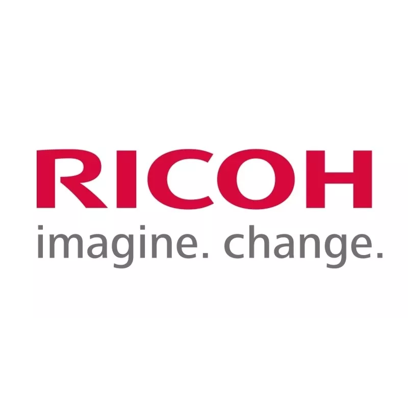 Ricoh D1949640 (D194-9640) Revelador, negro