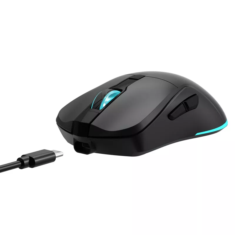 Ratón Baracuda BGM-121 Turtle negro USB
