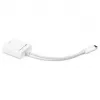 Adaptador USB, conector macho USB-C > conector hembra DisplayPort (Blanco, 11 cm)