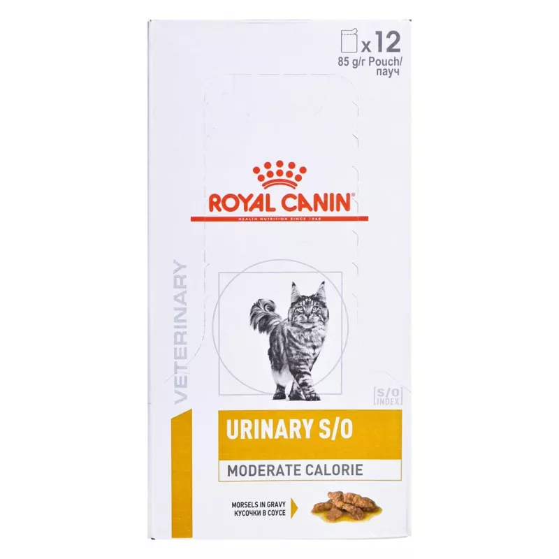 ROYAL CANIN Urinary S/O Moderate Calorie – comida húmeda para gatos – 12 x 85 g