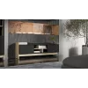 Mueble RTV Cama PORTO 2D 150x38x50 roble/negro