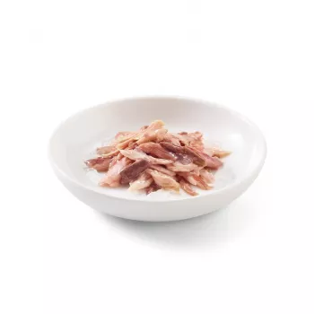 SCHESIR atún con ternera en gelatina - Comida húmeda para gatos - 85 g