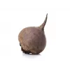 Semillas de hortalizas remolacha roja oscura Toraf, paquete de 20g