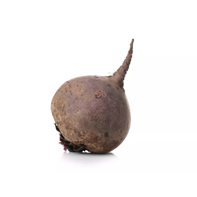 Semillas de hortalizas remolacha roja oscura Toraf, paquete de 20g