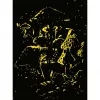 Puzle Ravensburger A la luz de la luna setas brillantes, fosforescente, 500 piezas