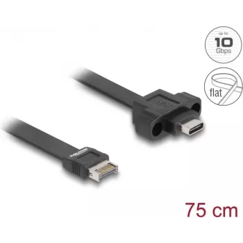 Cable plano USB DeLOCK Type-E Key A de 20 pines conector macho a conector hembra USB Type-C 75 cm