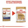 Royal Canin Chihuahua comida para perros, pack de 12 x 85 g