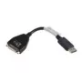 Lenovo 43N9160 DVI-D DisplayPort negro