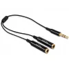Cable de audio DeLOCK 65356 0,25 m 3,5 mm 2 x 3,5 mm negro