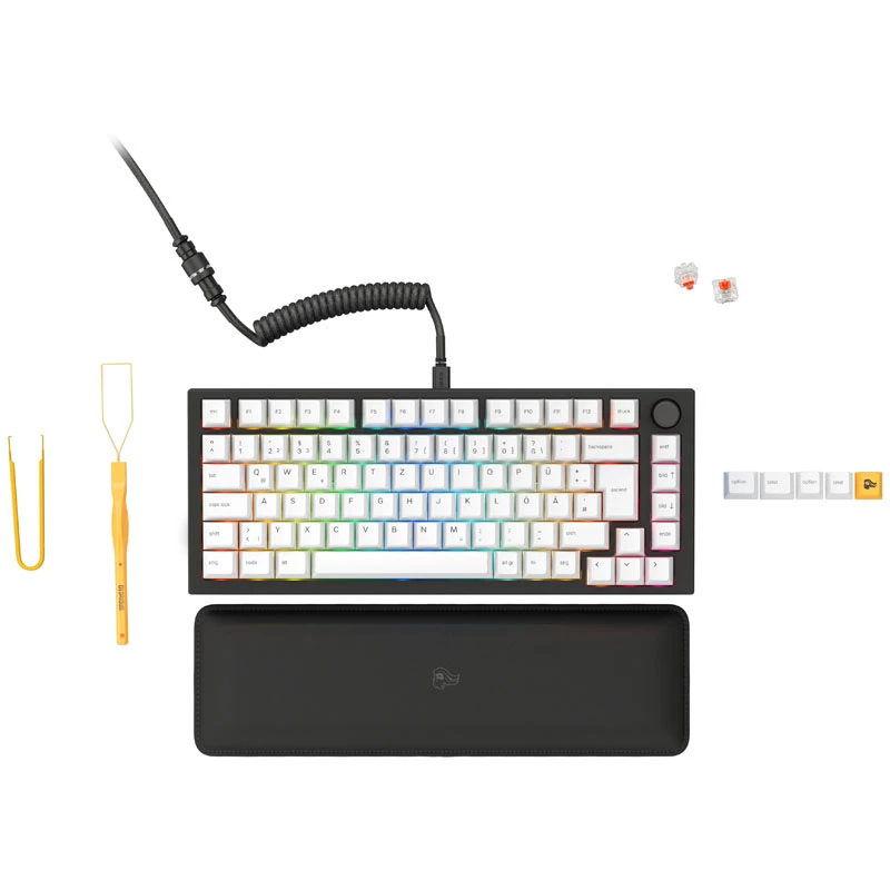 Teclado Glorious GMMK Pro Negro Slate 75% TKL - Montado, distribución ISO-DE - negro (GLO-GMMK-P75-FOX-ISO-B-DE)