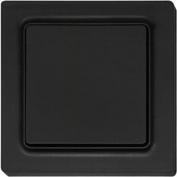 Eltako F2T55E-am pulsador inalámbrico 55 x 55 mm, antracita mate