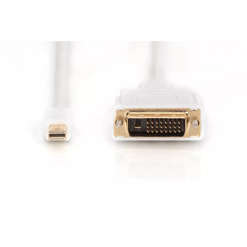 Cable DisplayPort 1.1a Mini DP-DVI tipo A macho-macho 2,0 m