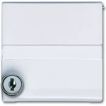 Busch Jaeger 2118 GKSLN/11-34 Blanco (1710-0-3793)