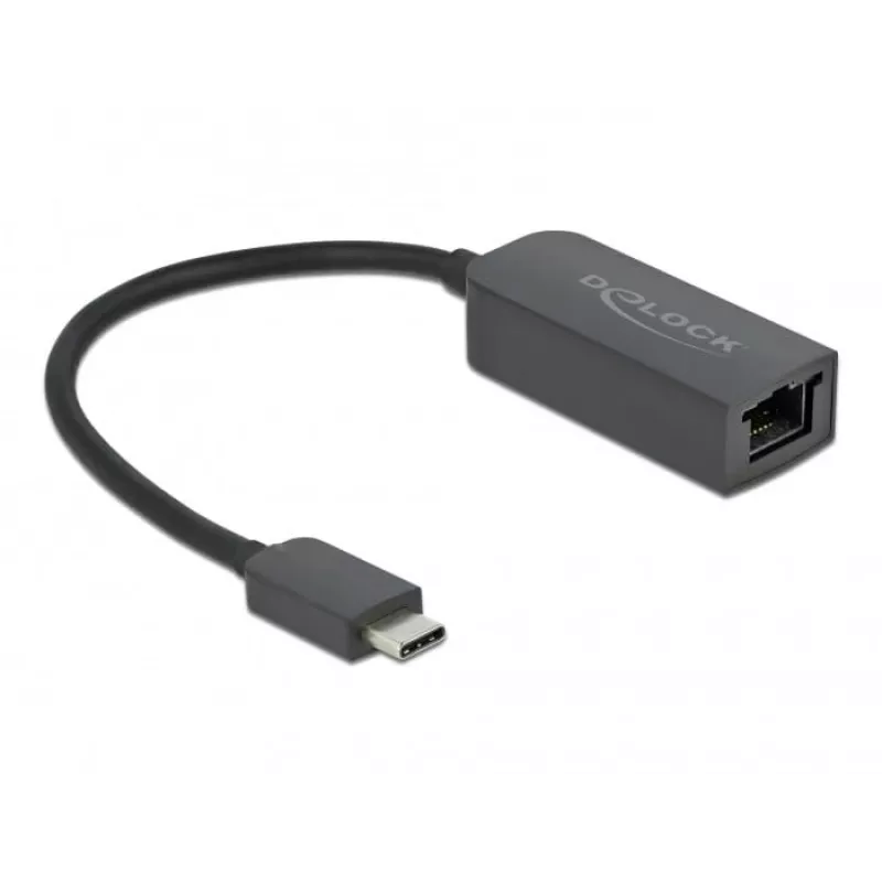 Adaptador USB Type-C macho a LAN 2,5 Gigabit compacto DeLOCK 66645
