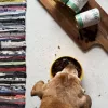 OLLO Umami ganso y pavo - pienso húmedo para perros - 850 g