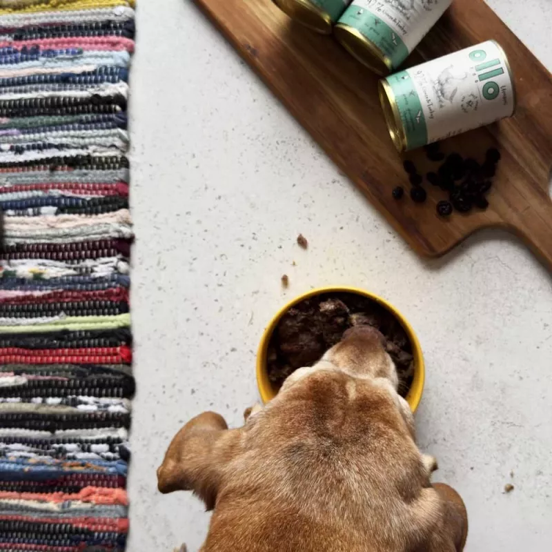OLLO Umami ganso y pavo - pienso húmedo para perros - 850 g