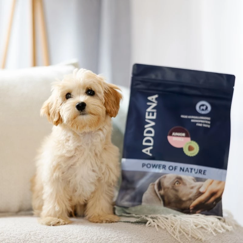 ADDVENA Power of Nature Junior Small Lamb - pienso seco para perros - 10 kg