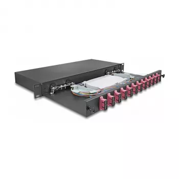 Caja de empalme de fibra óptica DeLOCK 67008 negro metal 482x220x44mm