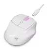 Sharkoon OfficePal M25W ratón de oficina inalámbrico, para diestros, 4000 DPI