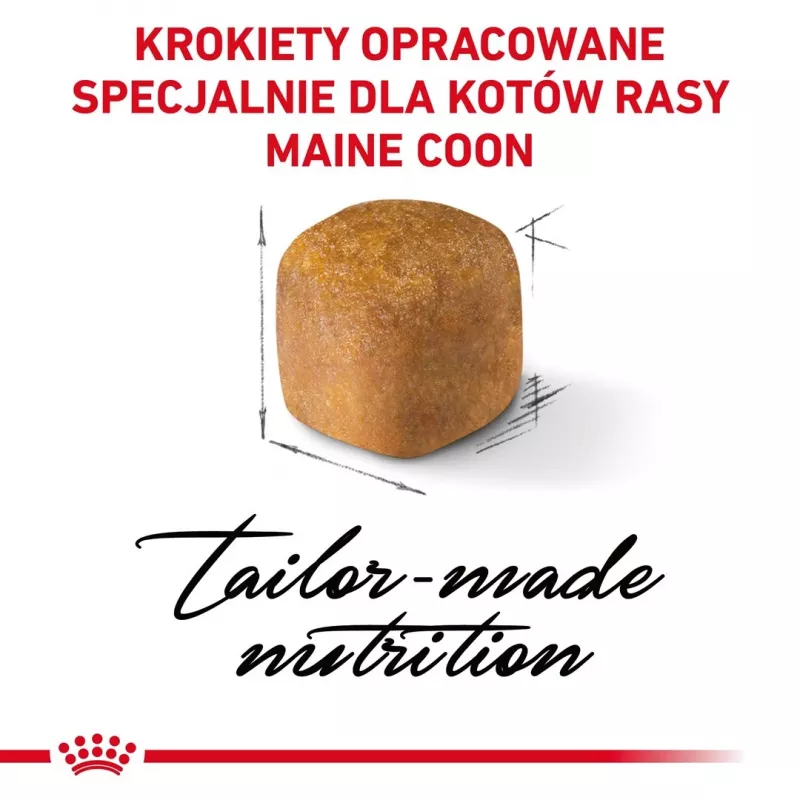 Comida seca para gatos Royal Canin Maine Coon Kitten 2 kg — aves, proteína 36%, grasa 23%