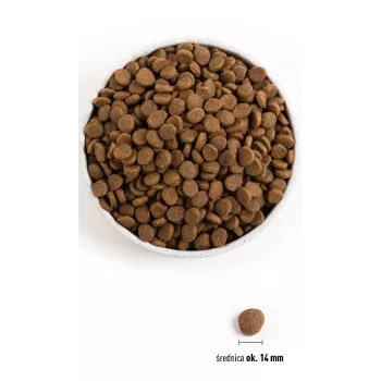Acana Dog TF Regionals Grasslands 11,4 kg Adulto Pato, Huevo, Pescado, Cordero