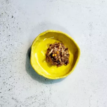Ollo Atún con queso en caldo Nº 10 70 g