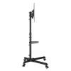 Soporte de pared para TV SBOX FS-224-2 para pantallas de 32–55
