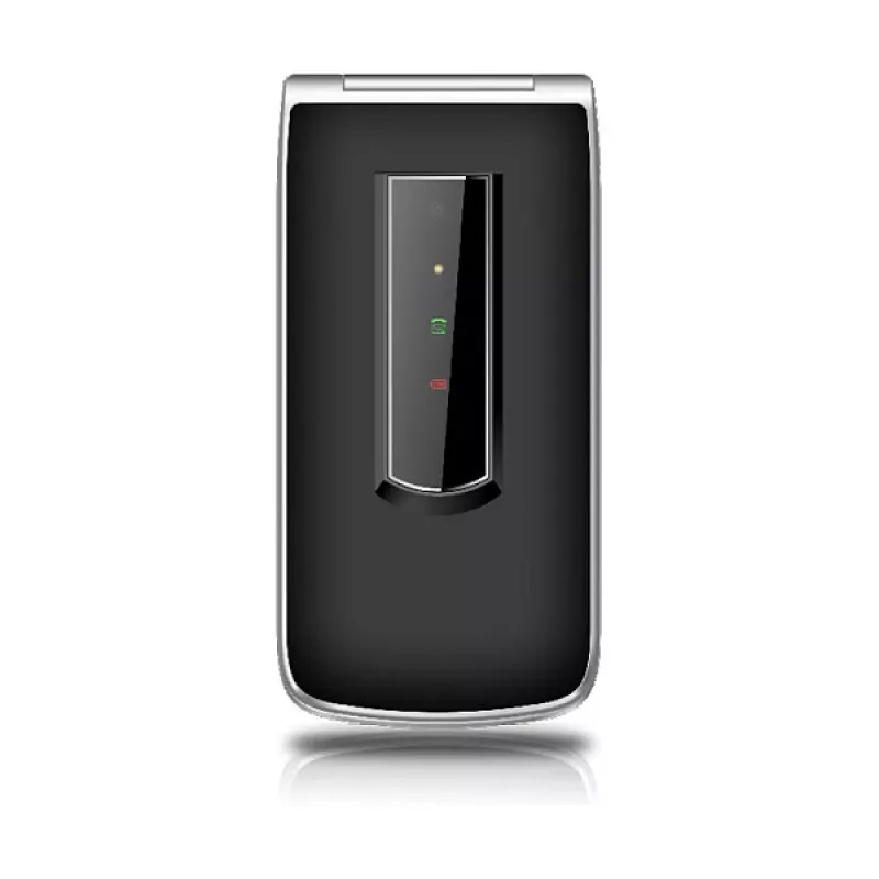 Beafon SL495LTE_EU003B plata