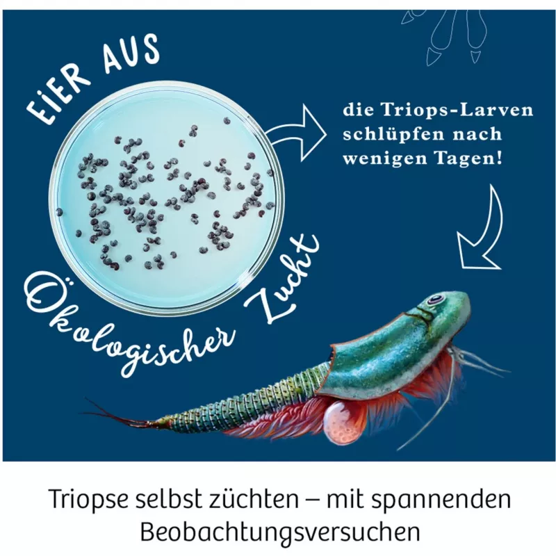 Kosmos 633073 Triops World kit de experimentos