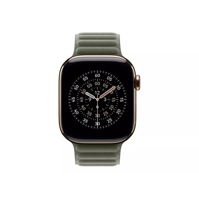 Correa Apple 42mm Sage Gray Magnetic Link M/L gris 140-180 mm
