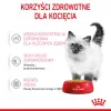 Royal Canin Feline Health Nutrition Kitten Instinctive en gelatina comida húmeda para gatitos, 12 x 85 g
