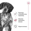 Royal Canin SHN Medium Adult pienso seco para perros, 15 kg