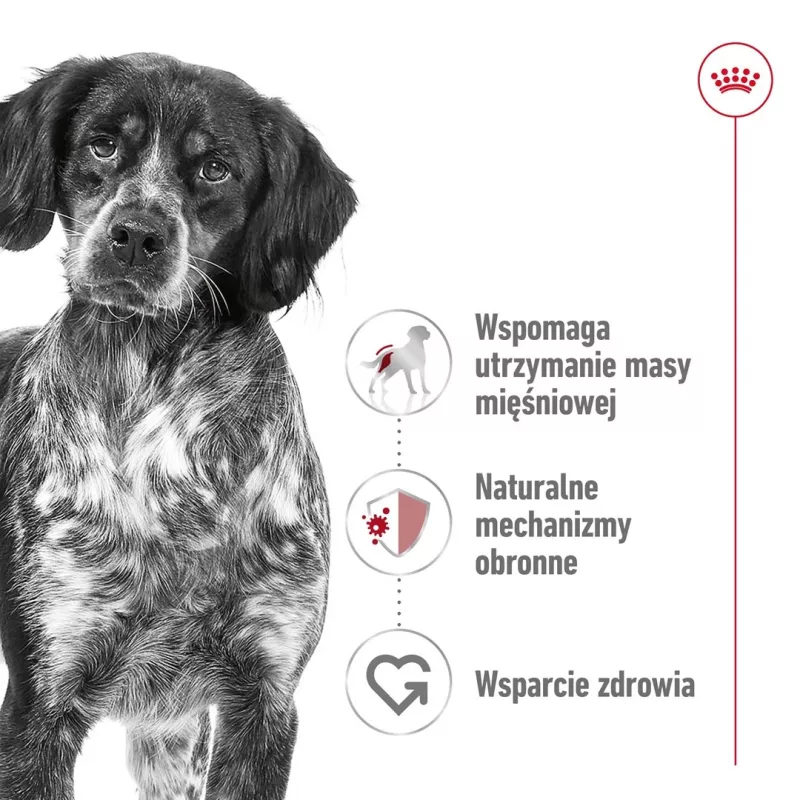 Royal Canin SHN Medium Adult pienso seco para perros, 15 kg