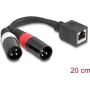 Cable de audio DeLOCK 0,2 m RJ-45 2 x XLR (3 polos) negro 88179