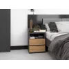 Top E Shop M1 ANTRACYT/ARTISAN mesita de noche, 2 cajones, roble