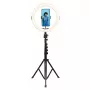 Agfa Arl11xl Ring Light anillo LED 11