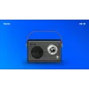 Radio portátil Savio RS-01 analógica negra