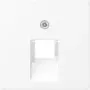 Tapa Jung para toma IAE/UAE A569-1BFPLUAWWM (A569-1BFPLUAWWM)