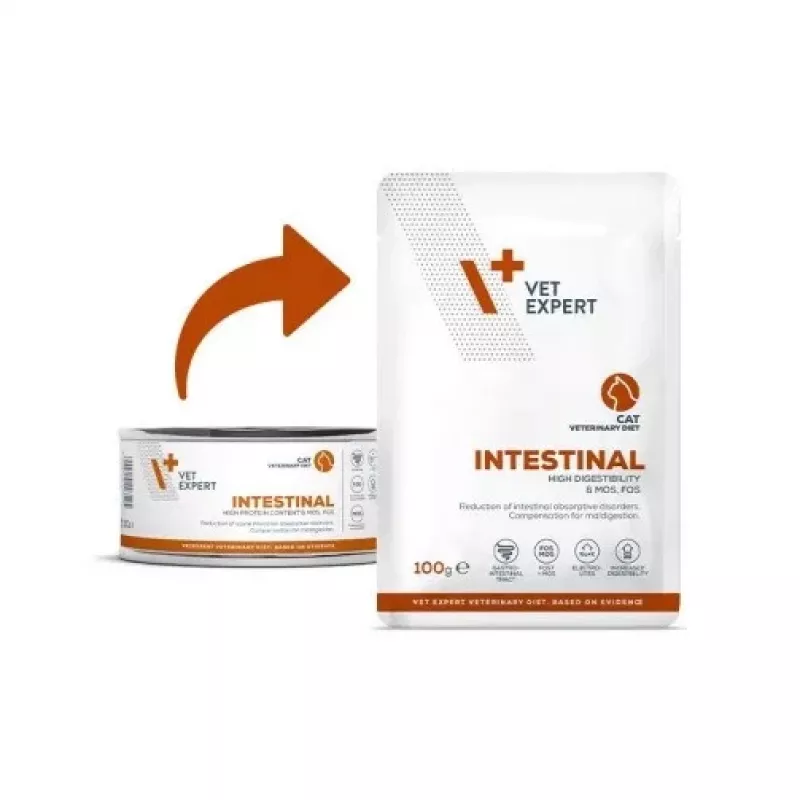 VetExpert Veterinary Diet Intestinal Cat comida húmeda para gatos 100 g
