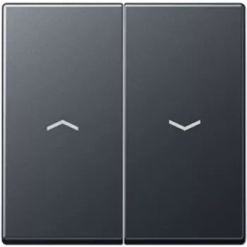 Panel de control de pared Jung A 595 BF P ANM, negro, modelo A595BFPANM