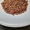 PUPIL Prime Mini rico en ternera con hígado – Pienso seco para perros – 1,4 kg