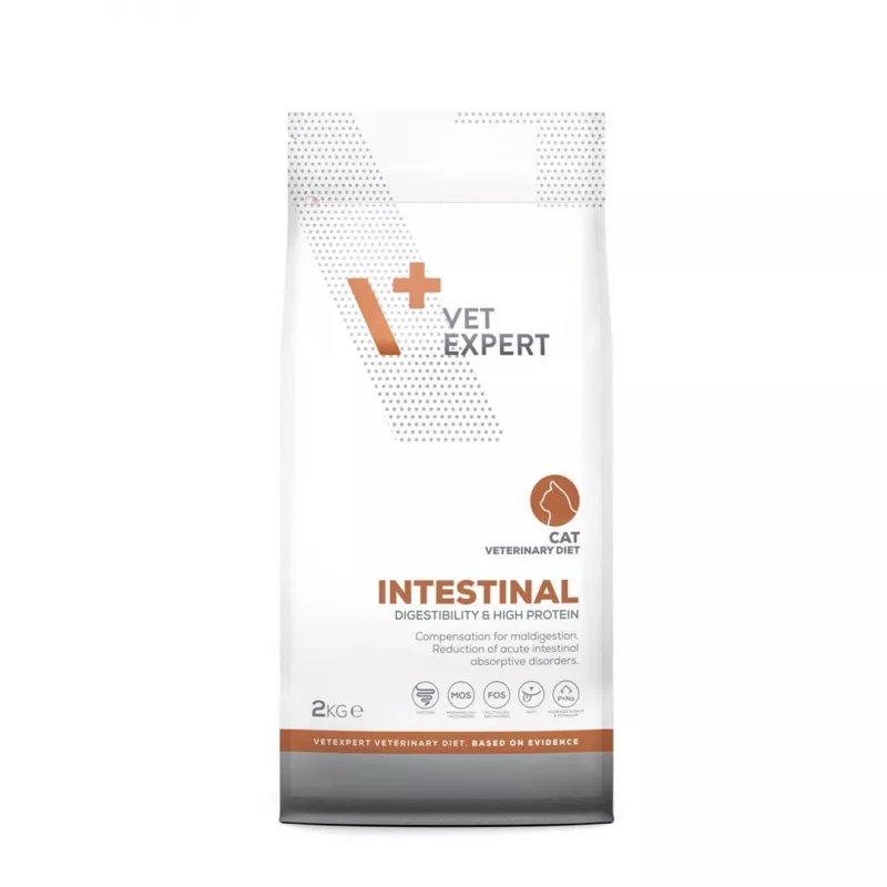 VetExpert Veterinary Diet Intestinal Cat alimento seco para gatos, 2 kg
