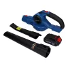 Soplador Blaupunkt CB2010 inalámbrico