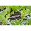 Conector Gardena 13206-20 para sistema de riego por goteo plástico