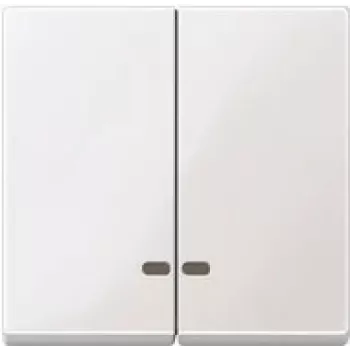 MERTEN doble tecla MEG3420-0319 Termopl. polar-blanco ventana de control MEG34 MEG3420-0319 (MEG3420-0319)