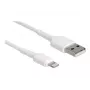 Cable de carga USB DeLOCK 87866 para iPhone iPad iPod 30 cm