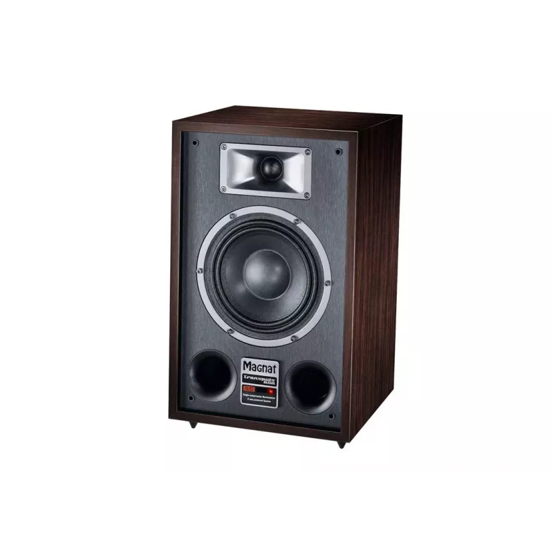 Altavoz de suelo Magnat TRANSPULS 800A 2 vías con cable e inalámbrico 2×60 W, Bluetooth 5.0, HDMI, negro/marrón