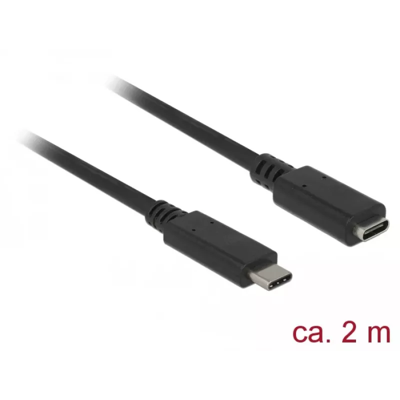 Cable USB DeLOCK SuperSpeed USB 3.2 Gen 1 2 m USB-C negro